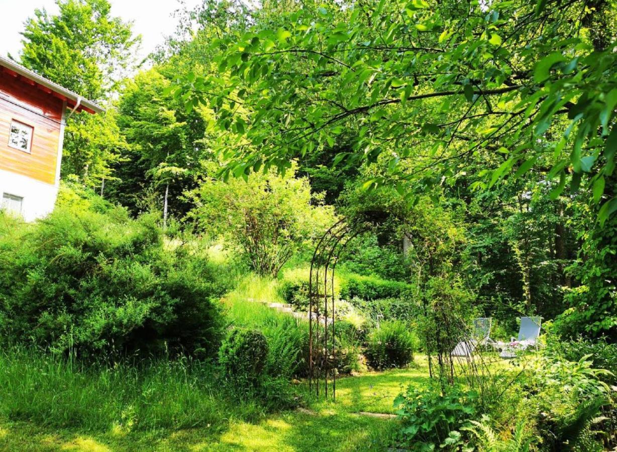 Ferienwohnung Am Woid - Herrliche Alleinlage - Vegane Einrichtung Waldkirchen Exteriör bild