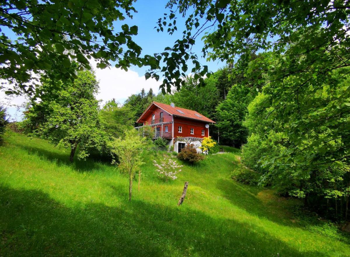 Ferienwohnung Am Woid - Herrliche Alleinlage - Vegane Einrichtung Waldkirchen Exteriör bild