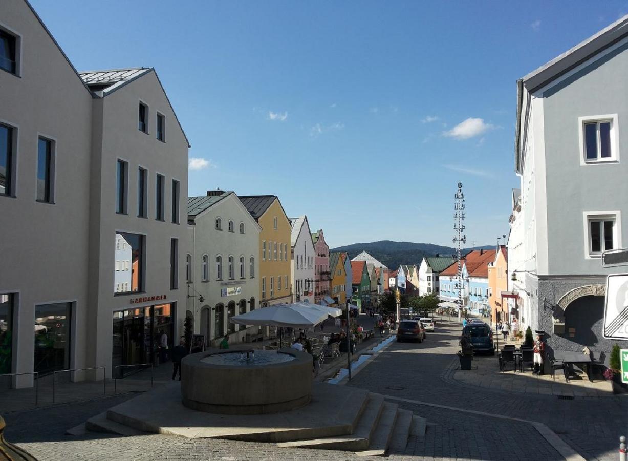 Ferienwohnung Am Woid - Herrliche Alleinlage - Vegane Einrichtung Waldkirchen Exteriör bild