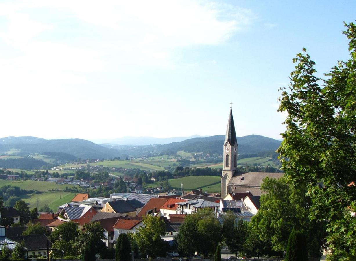 Ferienwohnung Am Woid - Herrliche Alleinlage - Vegane Einrichtung Waldkirchen Exteriör bild